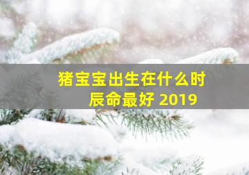 猪宝宝出生在什么时辰命最好 2019